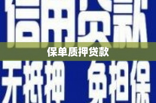 盐城保单质押贷款