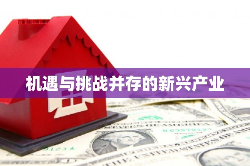 盐城机遇与挑战并存的新兴产业