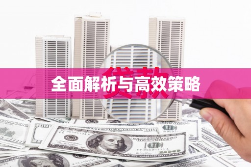 盐城全面解析与高效策略