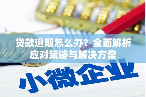 盐城贷款逾期怎么办？全面解析应对策略与解决方案