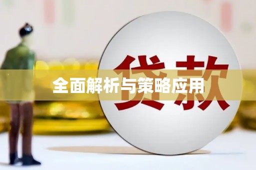 盐城全面解析与策略应用
