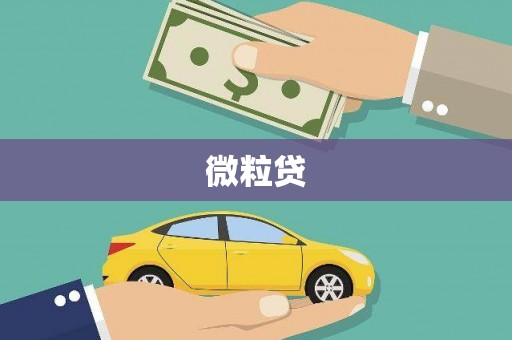 盐城微粒贷