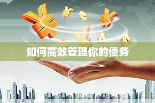 盐城如何高效管理你的债务