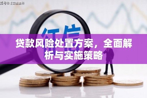 盐城贷款风险处置方案，全面解析与实施策略